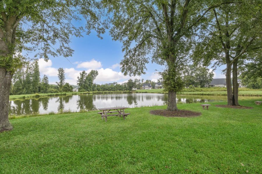 Natural surroundings and green spaces near Beverly Place in Four Oaks, NC (Image 26).