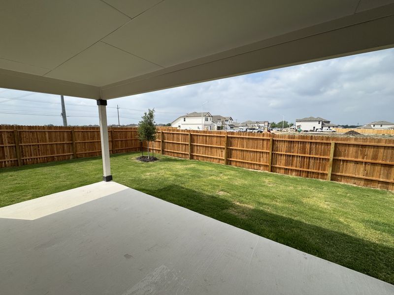 A covered patio overlooks a private fenced yard with fresh greenery and a small tree.