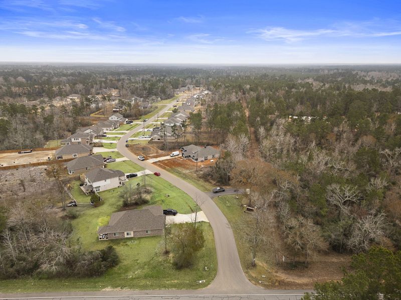 A road with trees and houses. A road with trees and houses.