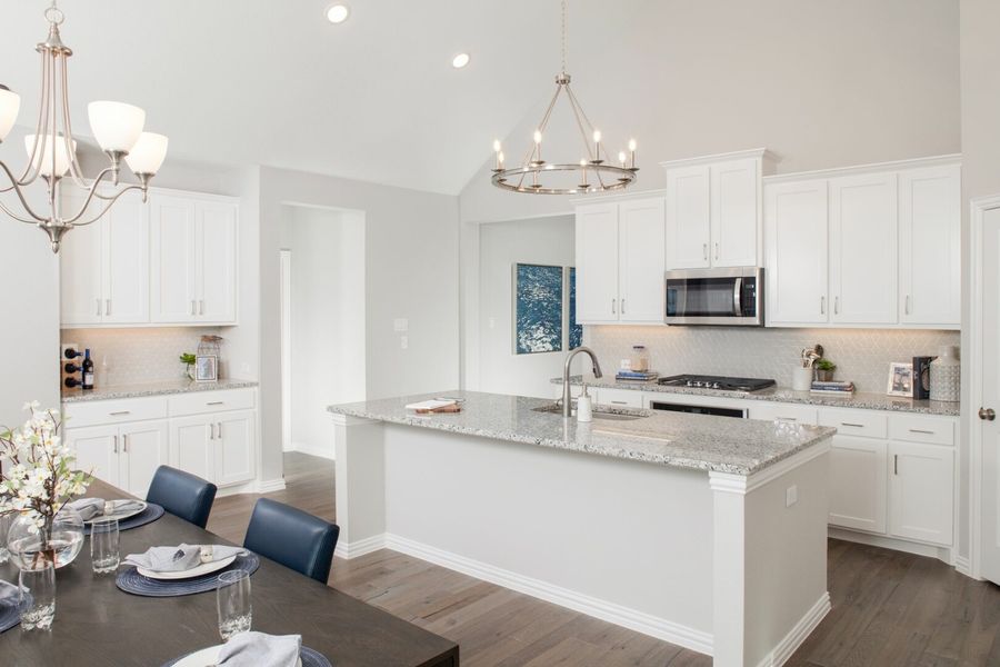 Image 10 of the Prairie View - 55s community in Frisco, TX.