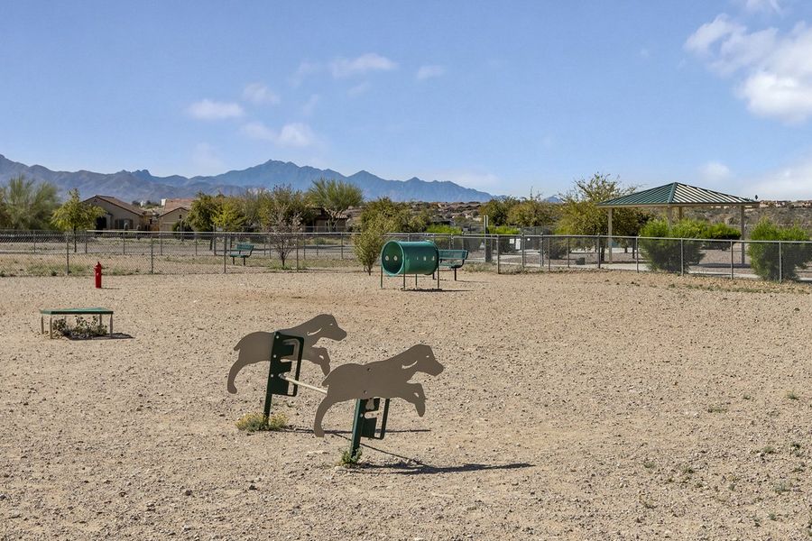Community dog park