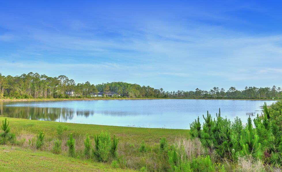 Natural surroundings and green spaces near Woodhaven in Port Orange, FL (Image 45). Natural surroundings and green spaces near Woodhaven in Port Orange, FL (Image 45).