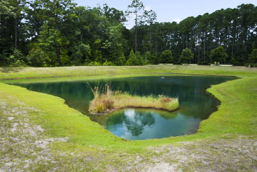 Community amenity available to residents of Wexford in Richmond Hill (Image 10).