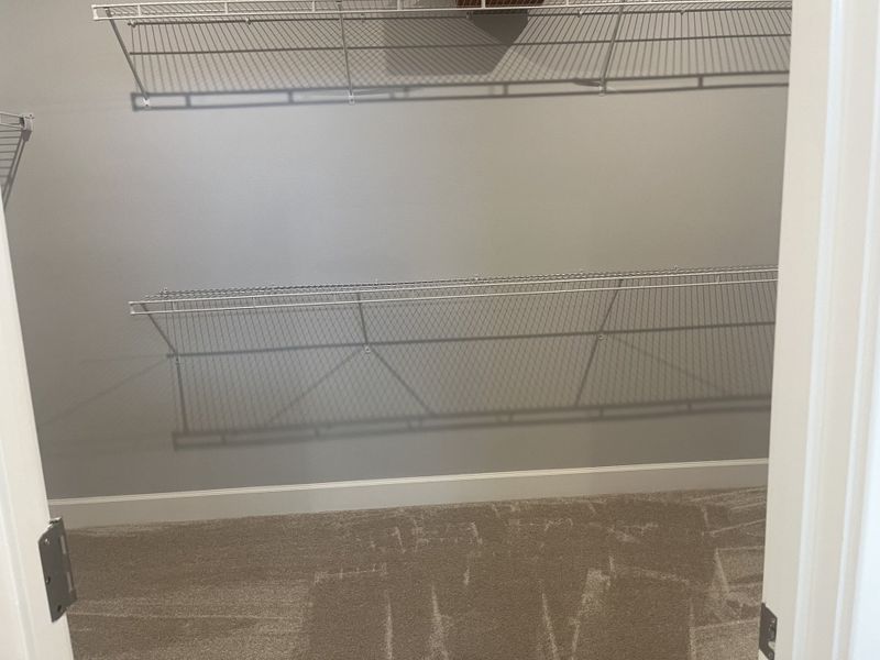 A spacious walk-in closet with wire shelving, neutral carpet, and soft gray walls, offering ample storage space.