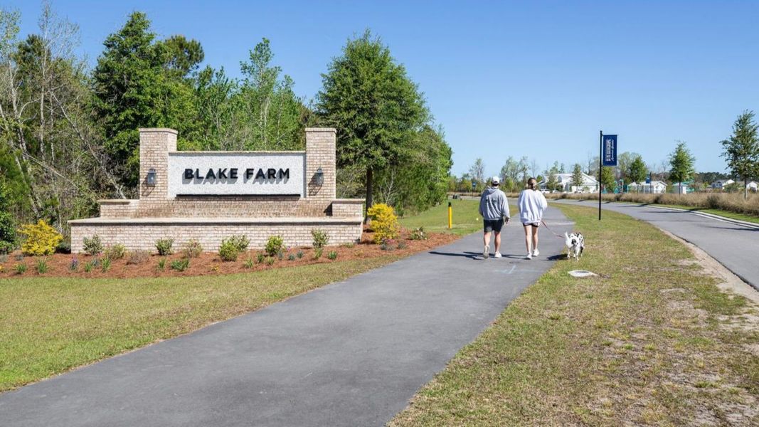 Entrance to the The Pines at Blake Farm community in Wilmington, NC, featuring signage and landscaping (Image 2).