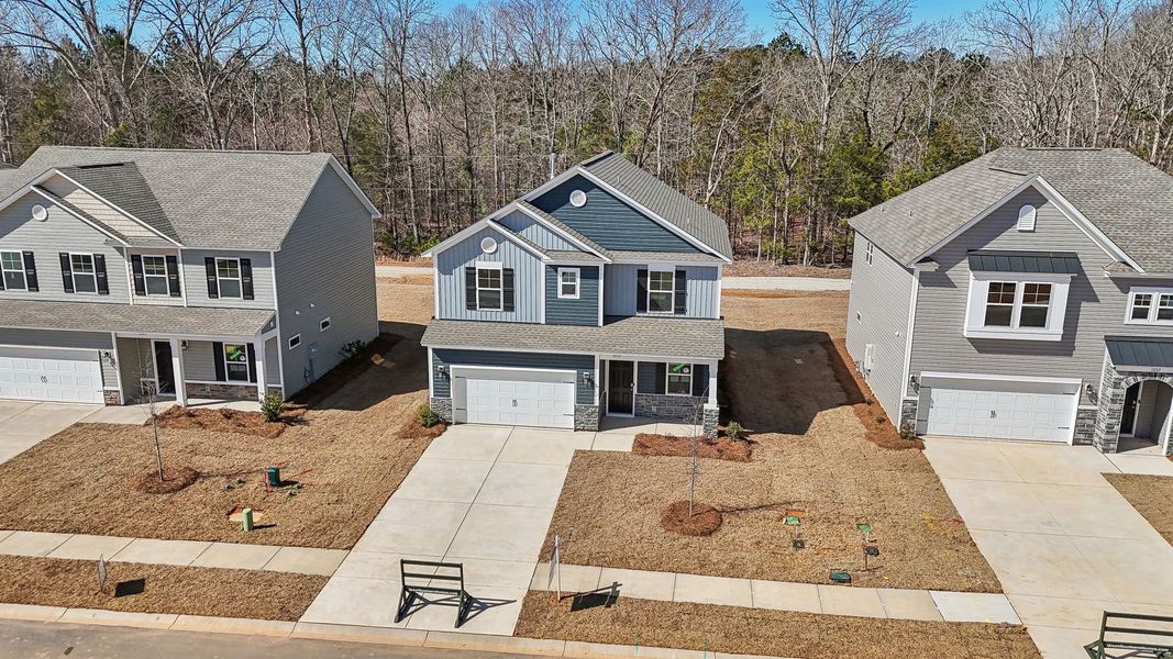 The Harper II The Harper II