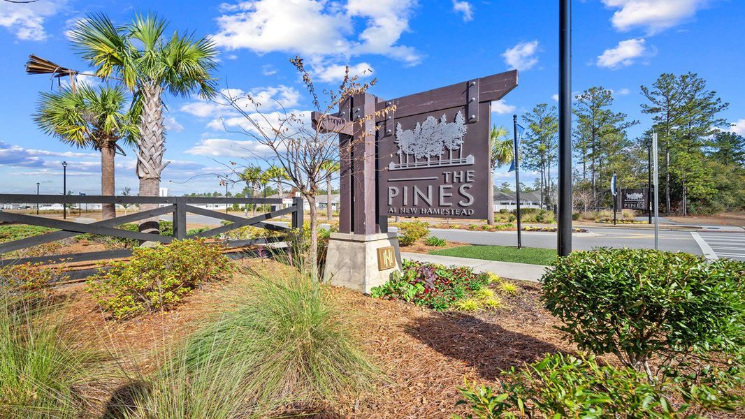 Front exterior of a home in the The Pines at New Hampstead community, located in Savannah, GA (Image 8).