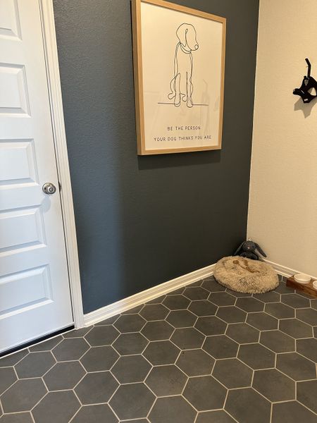 A cozy nook with hexagonal tiles, a playful dog-themed artwork, and pet accessories for a welcoming touch.