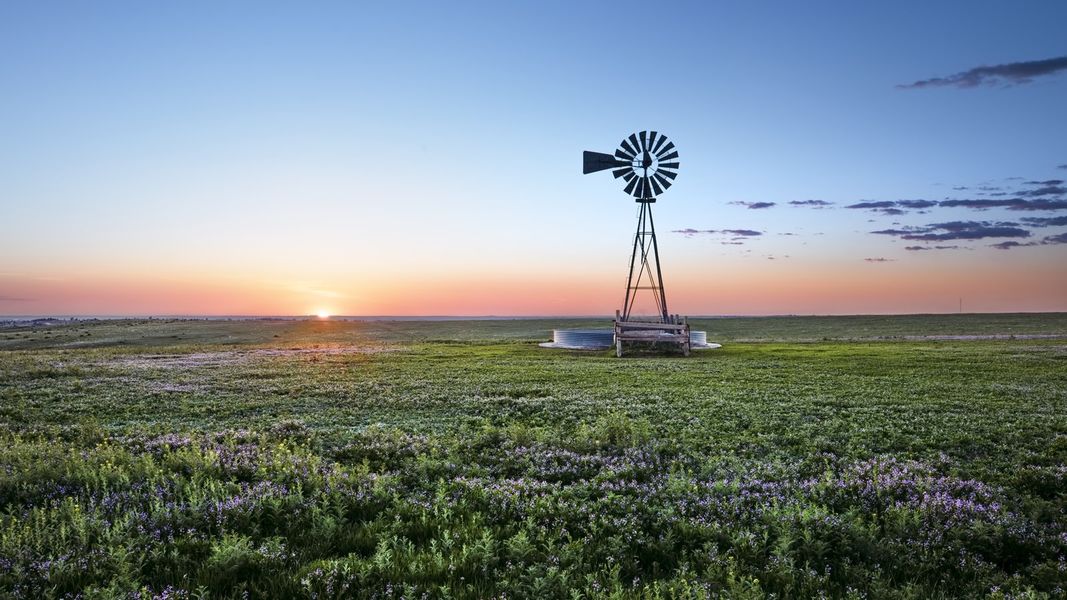 Natural surroundings and green spaces near Independence in Elizabeth, CO (Image 10).