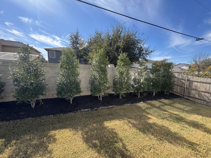 A landscaped backyard with lush greenery and a privacy fence.