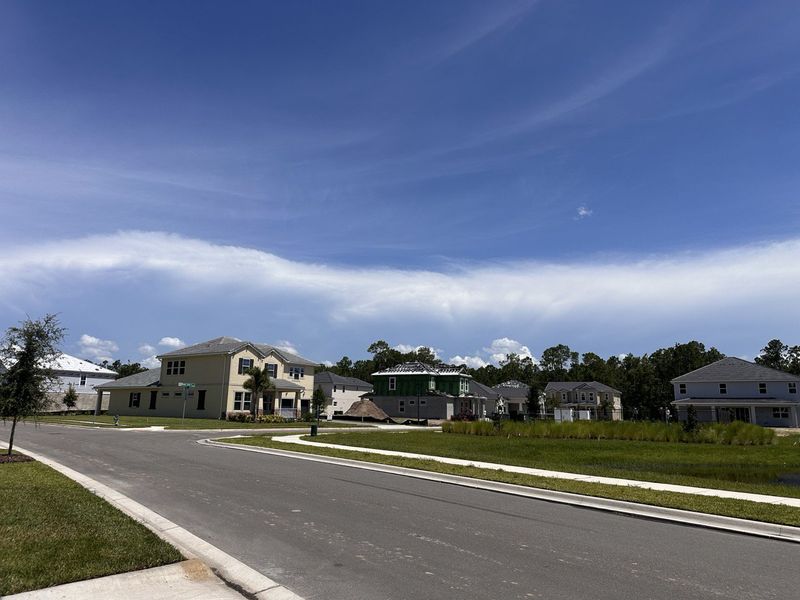 A serene neighborhood with modern homes and lush greenery at Palms at Windermere by Dream Finders Homes (Windermere, FL).