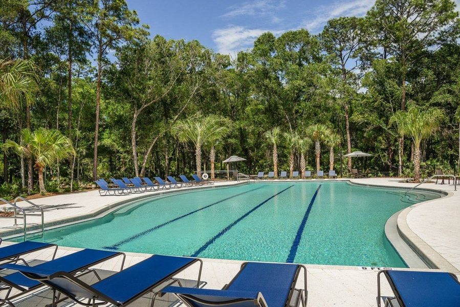 Image 7 of the Bexley community in Land O' Lakes, FL.