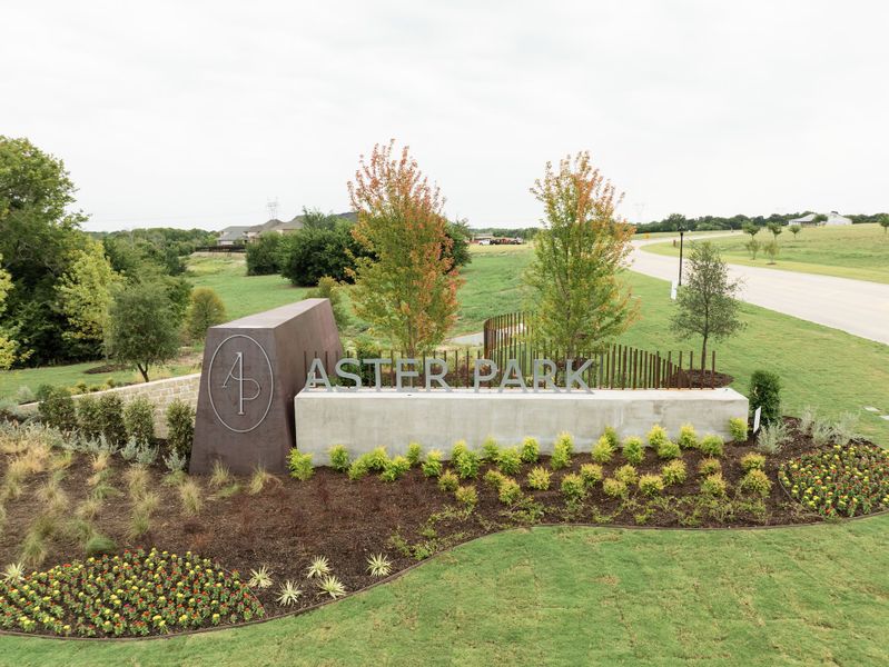 Entrance to the Aster Park: 40ft. lots community in McKinney, TX, featuring signage and landscaping (Image 1).