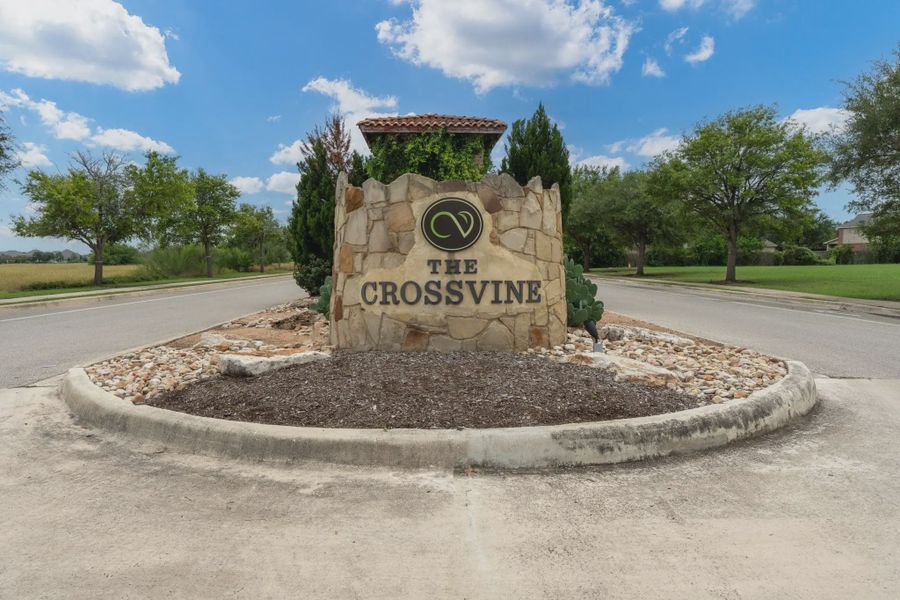 Entrance to the The Crossvine community in Schertz, TX, featuring signage and landscaping (Image 11).