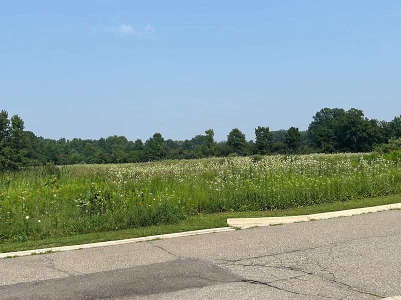 Natural surroundings and green spaces near Wellesley Woods in Ypsilanti, MI (Image 6). Natural surroundings and green spaces near Wellesley Woods in Ypsilanti, MI (Image 6).