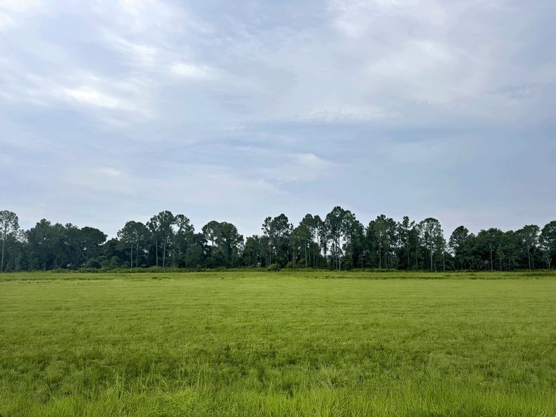Natural surroundings and green spaces near Hontoon Reserve in Deland, FL (Image 13).