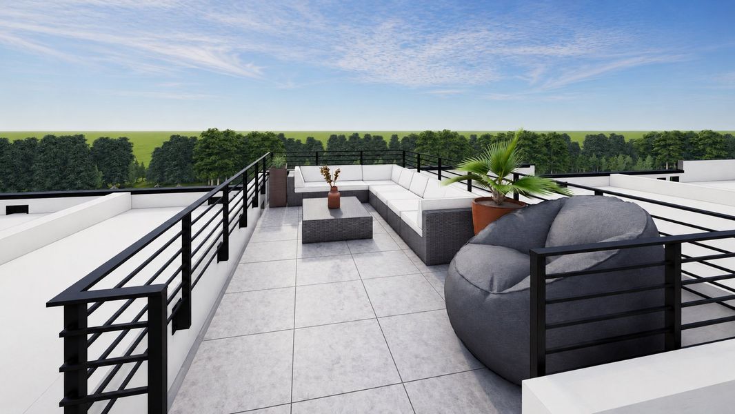 Conceptual rendering - optional rooftop access