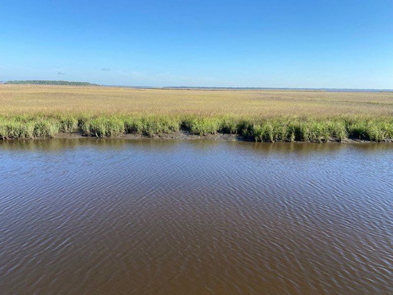 Natural surroundings and green spaces near Katie Cove in Jacksonville, FL (Image 43).
