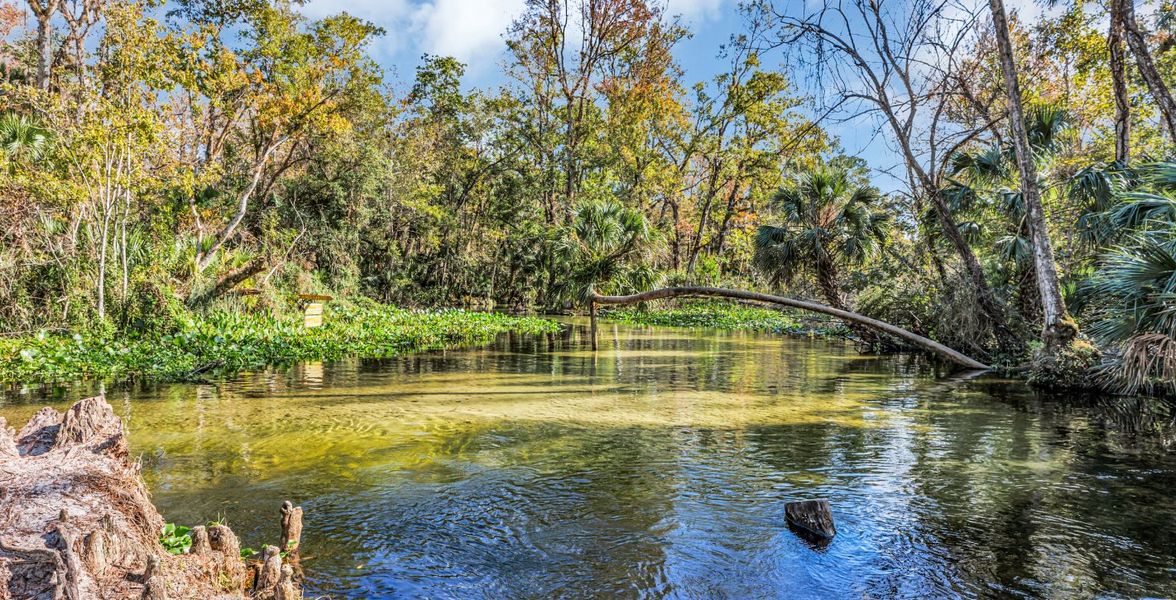 King’s Landing King’s Landing