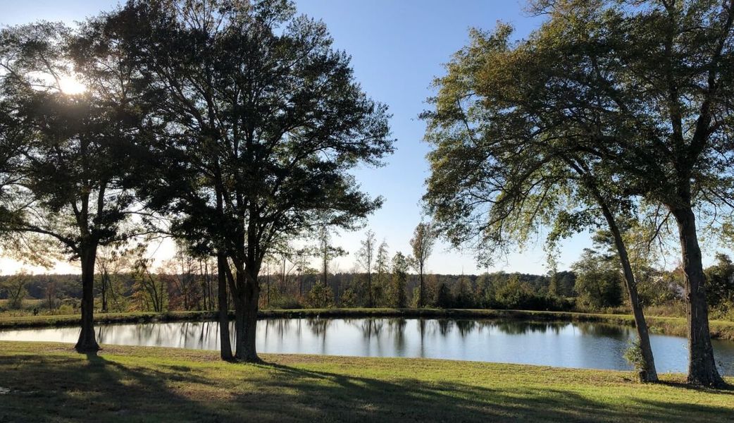Natural surroundings and green spaces near Beverly Place in Four Oaks, NC (Image 31).
