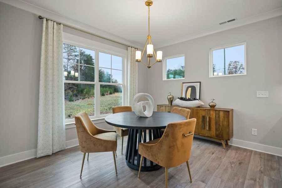 Furnished interior in a model home at Wexford in Elon (Image 6).