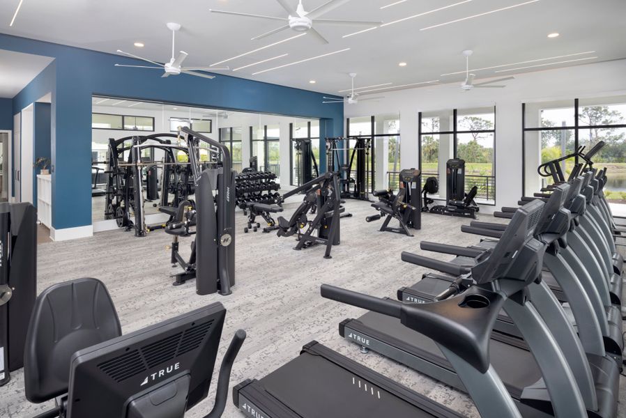 Fitness Fitness