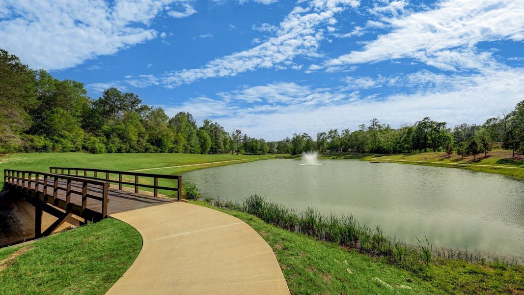 Natural surroundings and green spaces near High Meadow Estates in Montgomery, TX (Image 28).