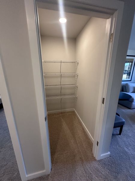 A cozy closet with wire shelving and soft carpet, offering convenient storage with ample lighting.