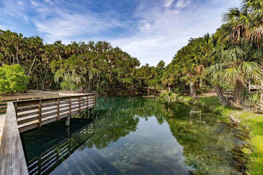 Natural surroundings and green spaces near Spring Walk at The Junction in Debary, FL (Image 17).