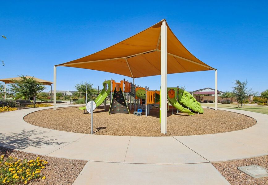 Community amenity available to residents of Bella Vista Farms in San Tan Valley (Image 3).