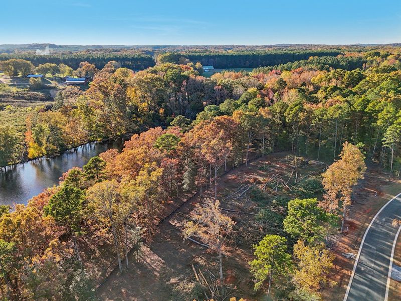 Natural surroundings and green spaces near Edgewater on Lake Tillery Waterfront in Norwood, NC (Image 24).