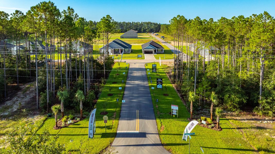 Image 60 of the Clear Water Landing community in Milton, FL.