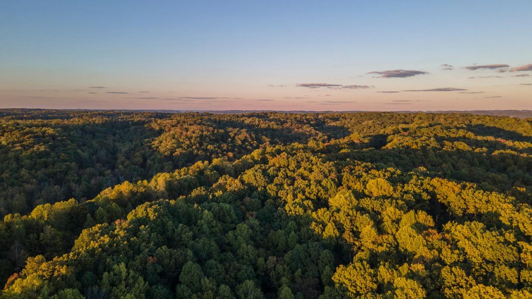 Enjoy stunning views of Roper's Knob