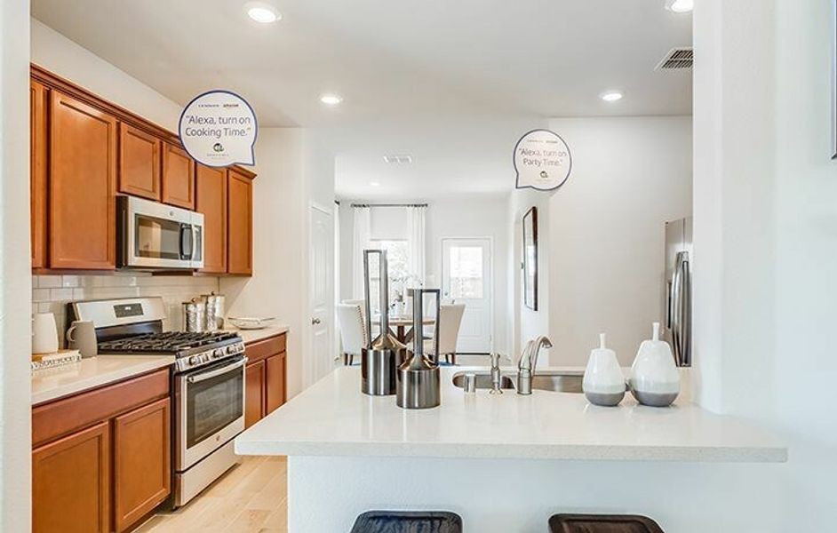 Image 10 of the Hillstone Pointe 40s & 50s community in Little Elm, TX.