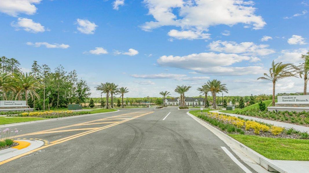 Entrance to the Freedom at Sawmill Branch community in Palm Coast, FL, featuring signage and landscaping (Image 9).