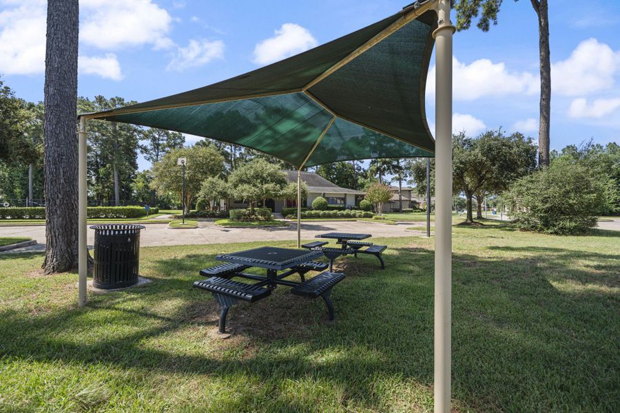 Community amenity available to residents of Trinity Grove in Spring (Image 13).