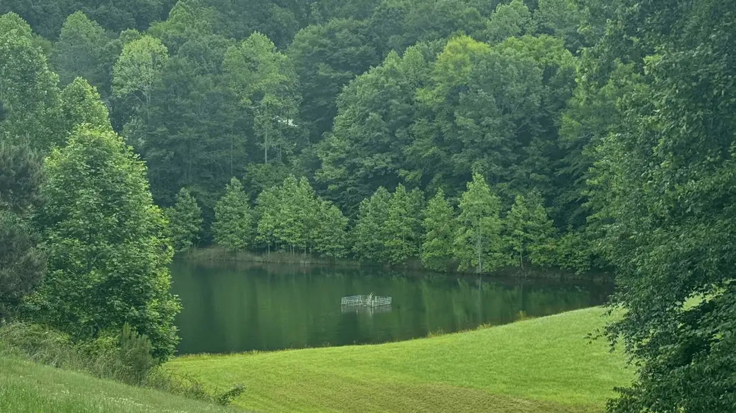 Natural surroundings and green spaces near Harbor Watch in Statesville, NC (Image 4).