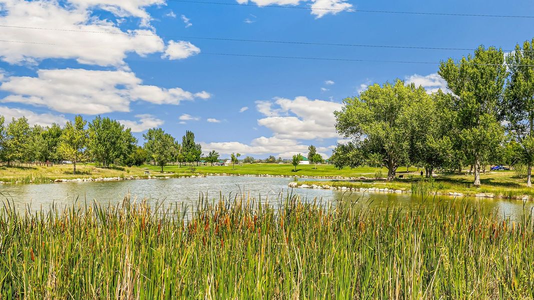 Image 11 of the Aspen Ranch community in Fountain, CO.