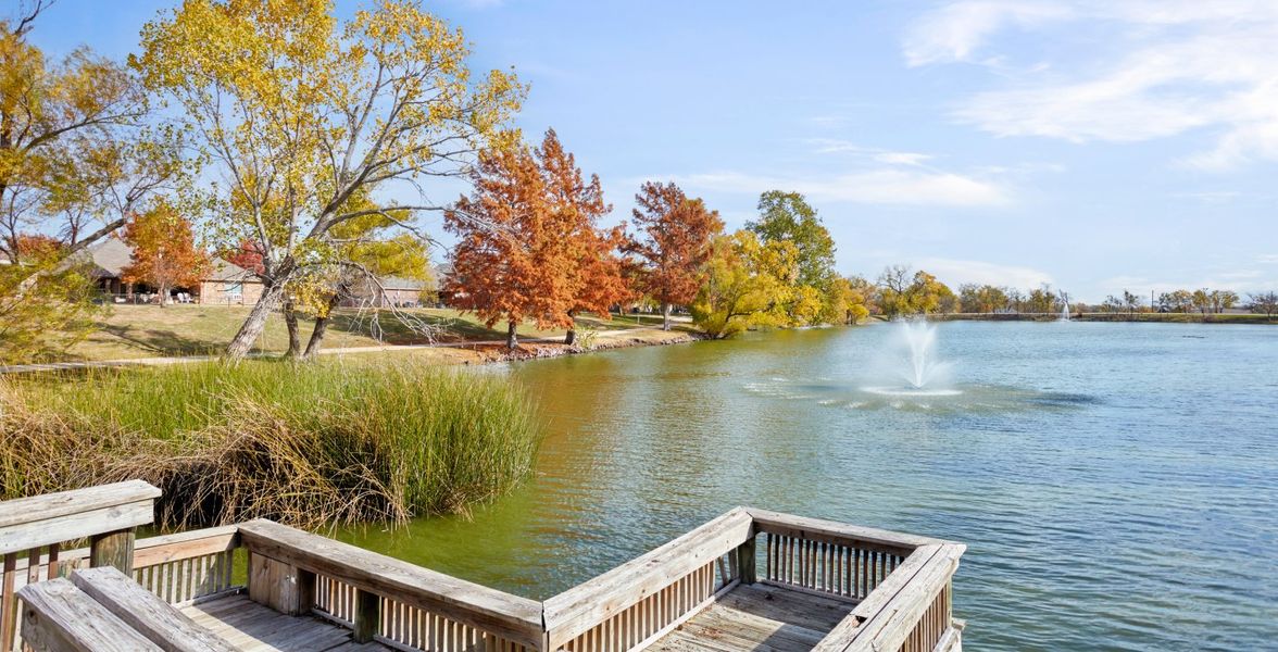 Local Park Local Park