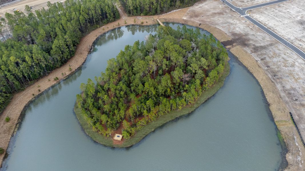 Image 27 of the Evergreen Island at Silverleaf - Executive community in St. Augustine, FL.