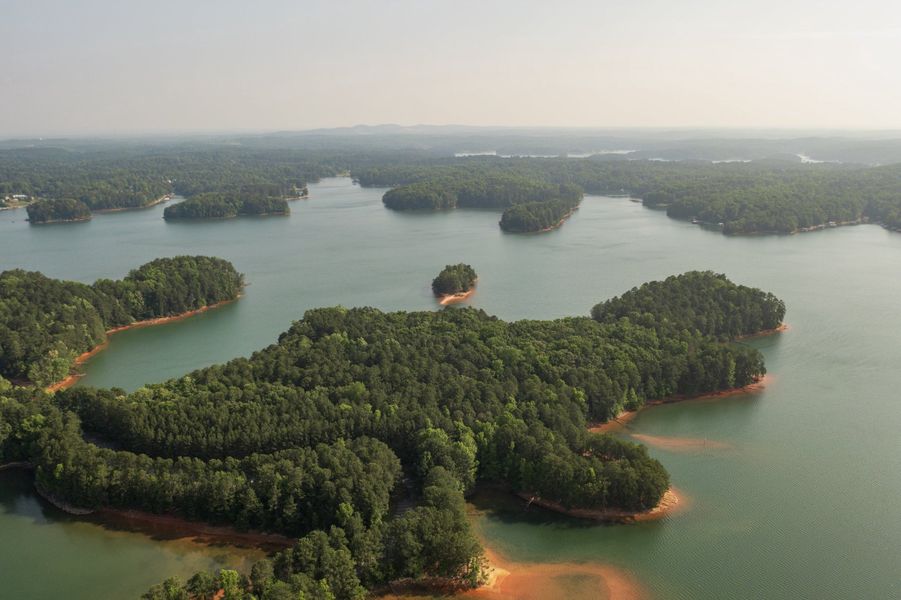 Natural surroundings and green spaces near Palisades in Cumming, GA (Image 33).