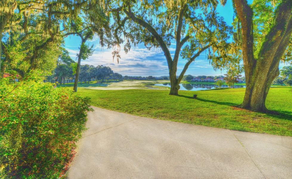 Natural surroundings and green spaces near Lake Jovita in Dade City, FL (Image 7). Natural surroundings and green spaces near Lake Jovita in Dade City, FL (Image 7).