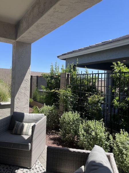 A cozy patio with wicker seating, lush greenery, and a serene atmosphere under a clear blue sky.