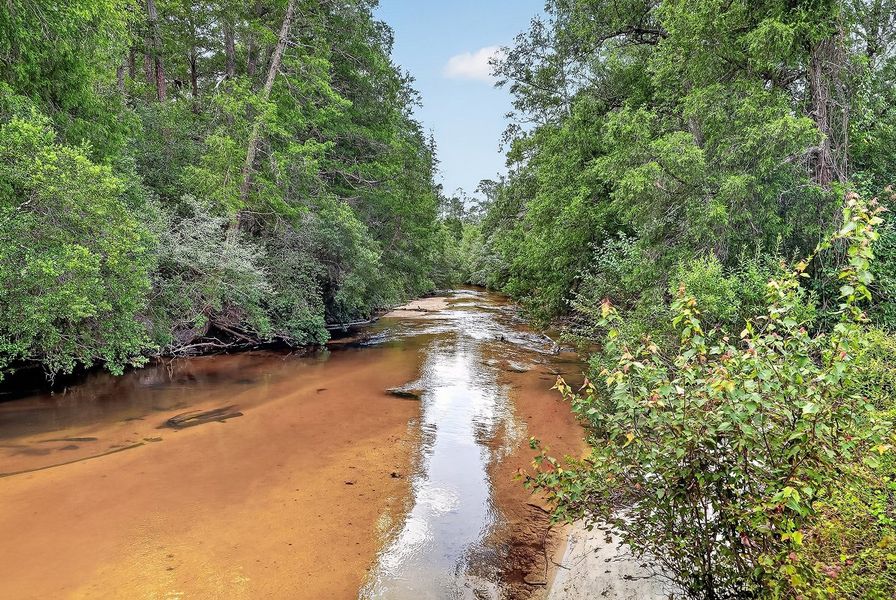 Laurel Hill Florida Blackwater River 2of4 Laurel Hill Florida Blackwater River 2of4