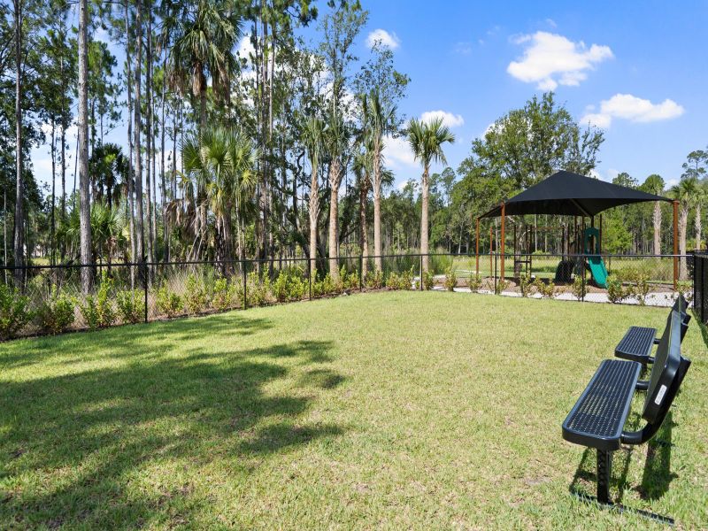 Community amenity available to residents of Ridgehaven - Reserve Series in Ormond Beach (Image 11).