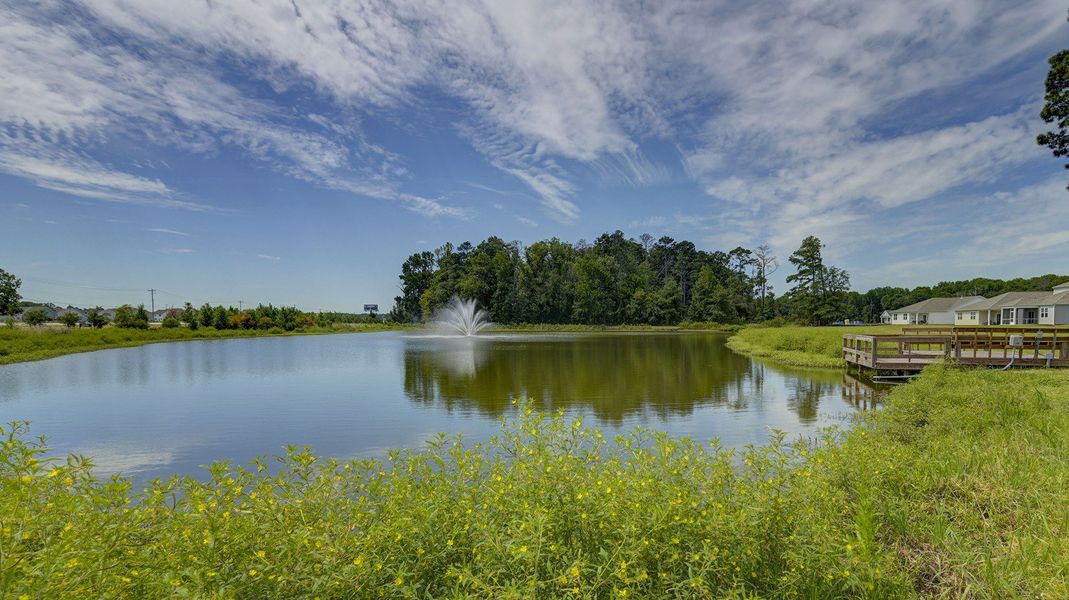 Image 44 of the Sease's Pond community in Gilbert, SC.