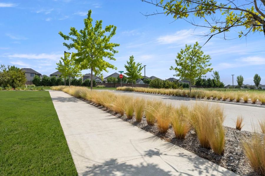 Natural surroundings and green spaces near Chelsea Commons in Allen, TX (Image 74). Natural surroundings and green spaces near Chelsea Commons in Allen, TX (Image 74).