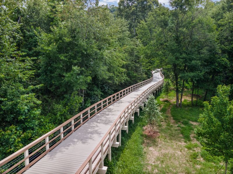 Walking trail