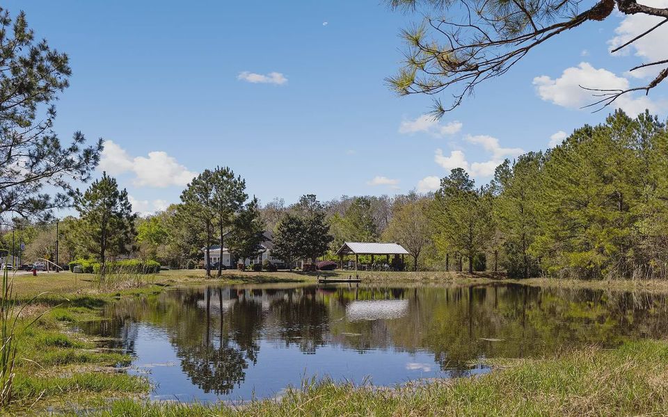 Natural surroundings and green spaces near The Preserve at Laurel Lake in Lake City, FL (Image 16).