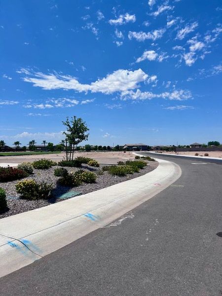 A scenic street view in Seasons at Rancho El Dorado IV by Richmond American Homes, Maricopa, AZ, with landscaped curbs and vibrant sky.
